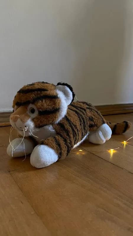 Мягкие игрушки — Тбилиси — 5 ₾