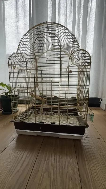 Клетка для попугая — Батуми — 100 ₾