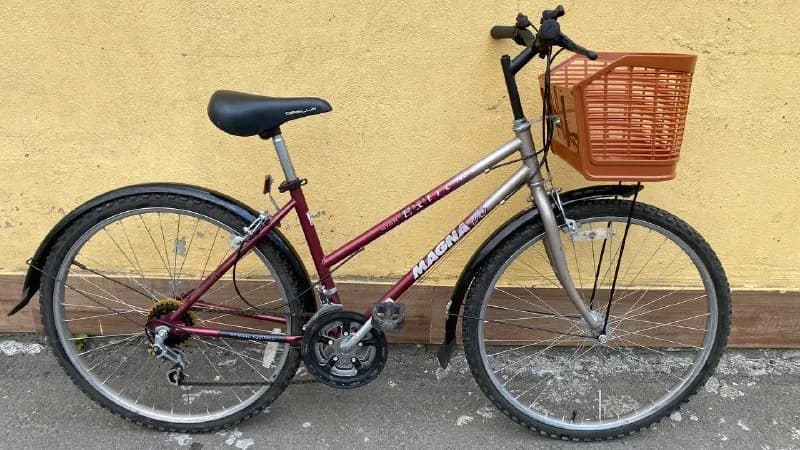 Magna 🚴‍♂️ — Батуми — 330 ₾