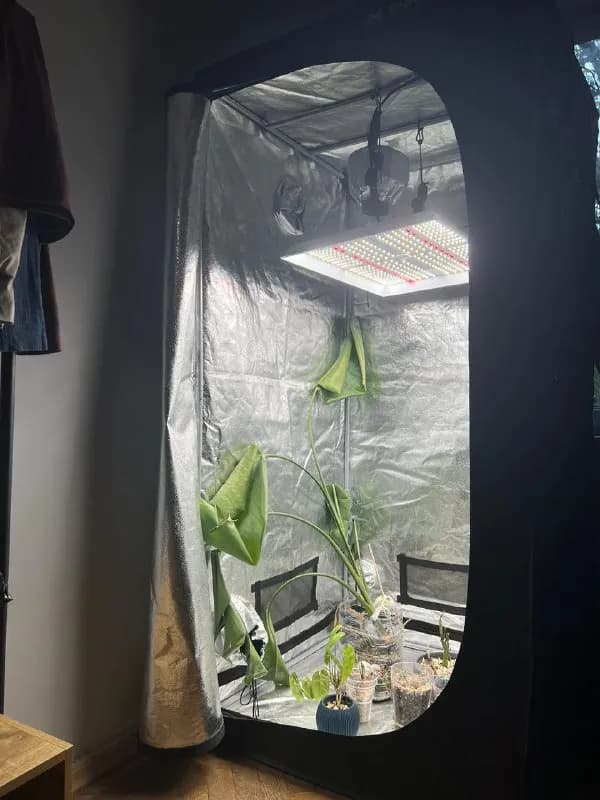 growbox в связи с переездом. В использовании был три месяца. Все коробки сохранены. В идеальном раск — Тбилиси — 2 565 ₾