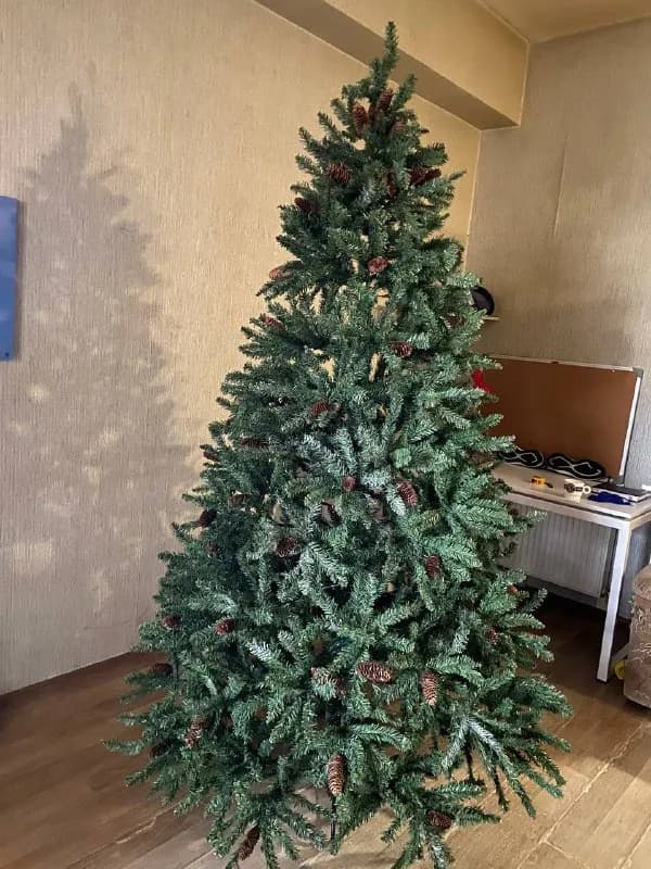 2,30 см — Тбилиси — 250 ₾
