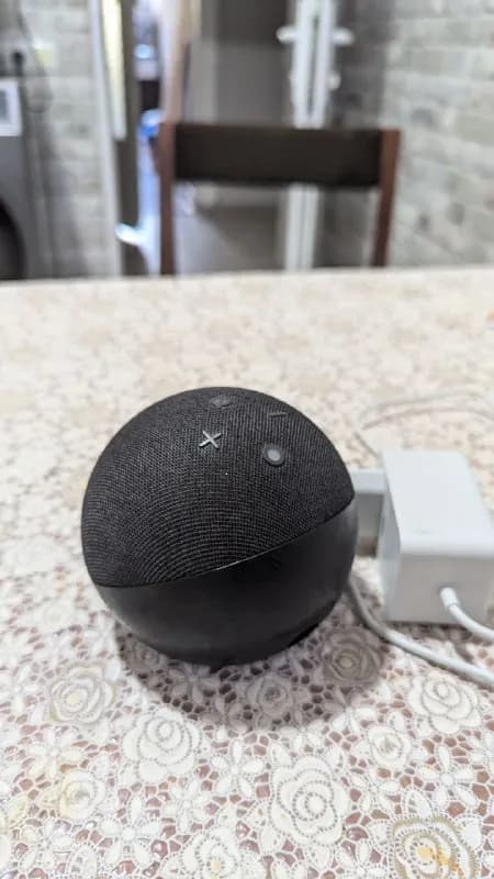 Alexa — Тбилиси — 200 ₾
