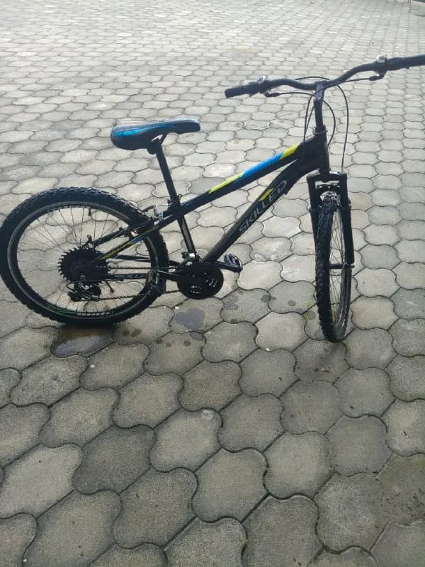 Skilled 24» — Батуми — 150 ₾