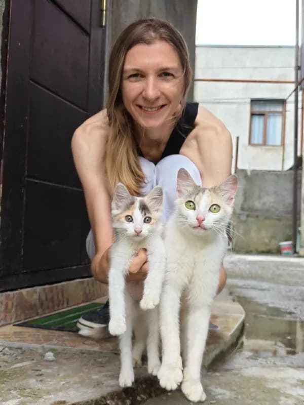 Кошка и котёнок ищут дом — Батуми