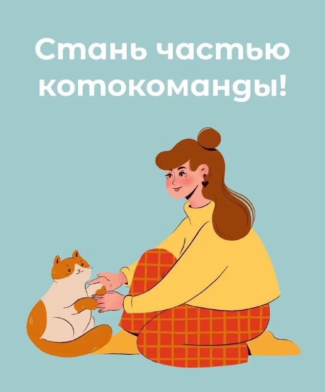 Meow Survivors — команда волонтёров в Батуми, которая помогает бездомным котикам обрести дом и любов — Батуми