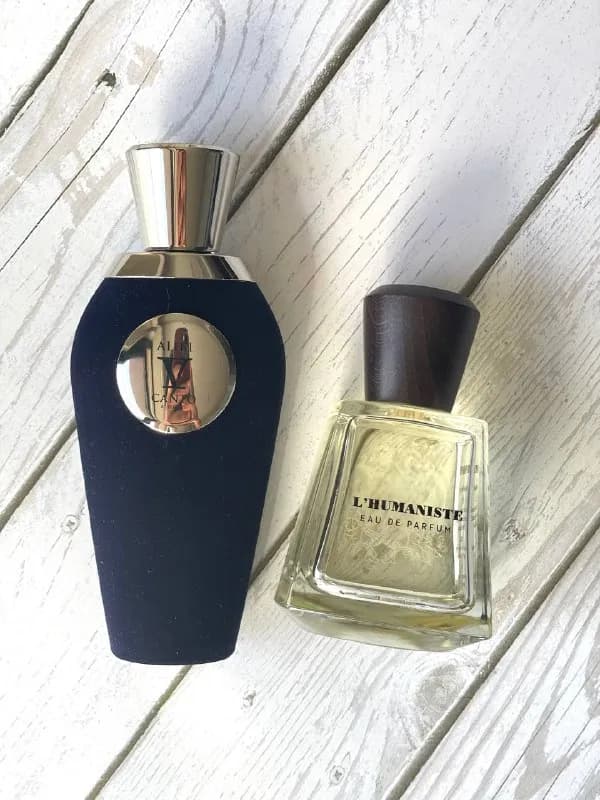 V Canto Alibi — Тбилиси — 250 ₾