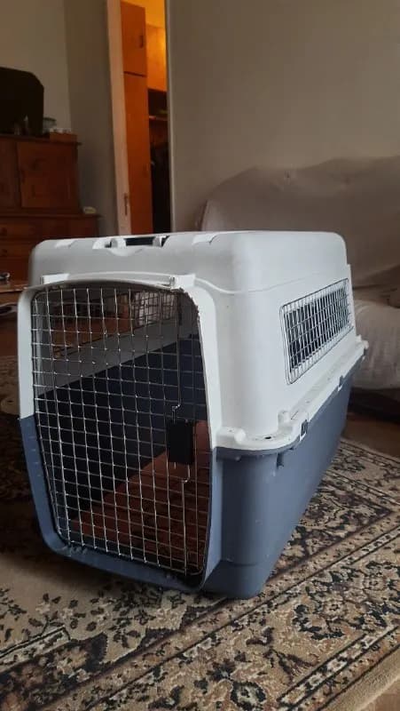 Triol Premium Extra Large XL, размер 90×60×68см. Одобрена (IATA). — Тбилиси — 350 ₾