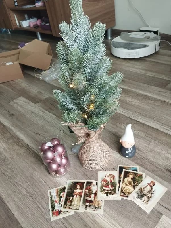 20 лари — Батуми — 20 ₾