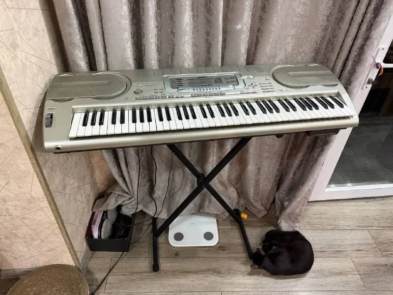 Casio WK-3300 100$ — Батуми