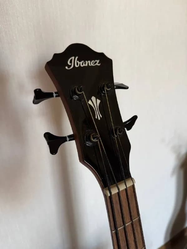 Ibanez AEGB24E-BKH — 1100 GEL — Тбилиси — 1 100 ₾