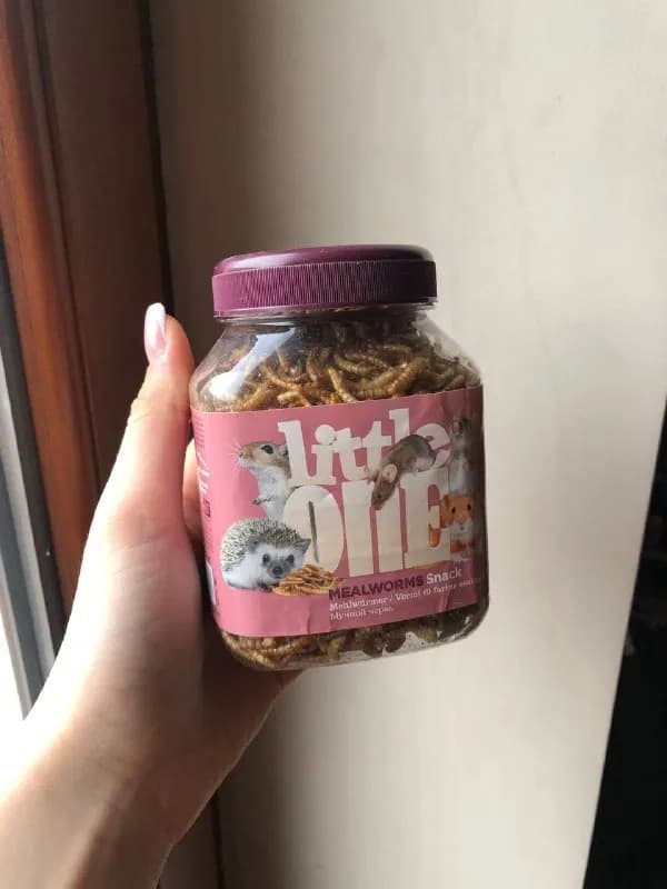 Little One — Тбилиси — 15 ₾