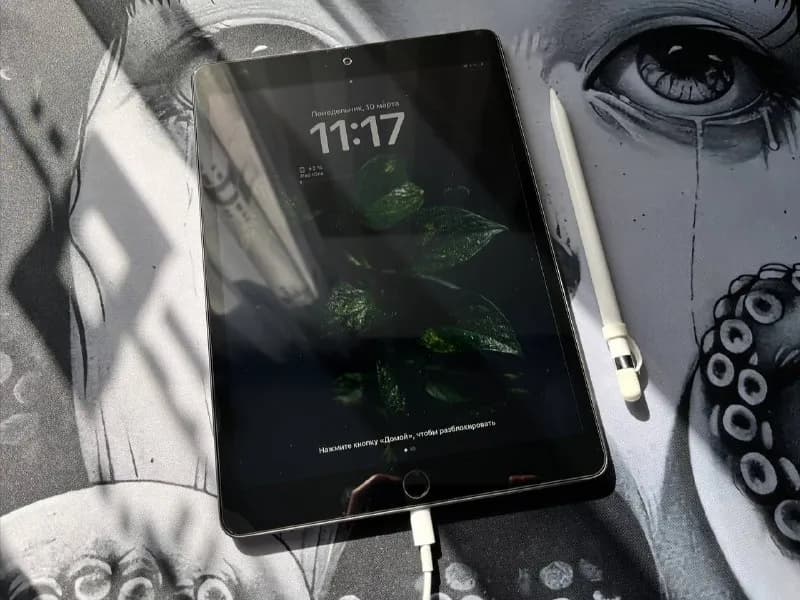 ipad 9го поколения wi-fi 256гб вместе с пенселом. юзала его в течении года в чехле и с защитной плен — Тбилиси — 1 200 ₾
