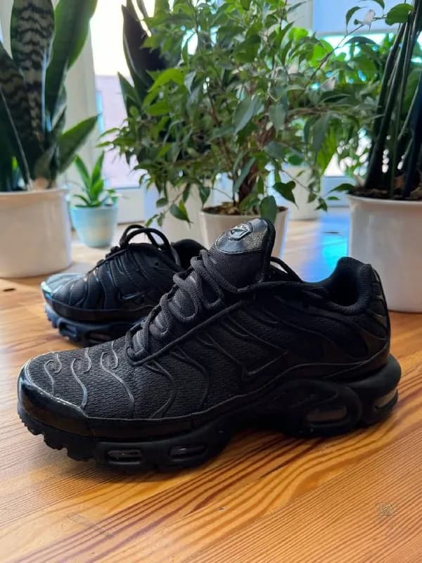 Nike Air Max Plus TN — Тбилиси — 600 ₾