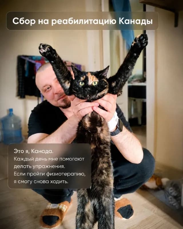 2 недели. Один день стоит 80 лари. — Батуми — 80 ₾