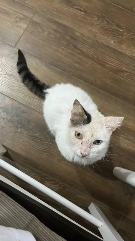 WhatsApp: [телефон]. Для Луми это сейчас действительно очень важно .🐱 — Батуми