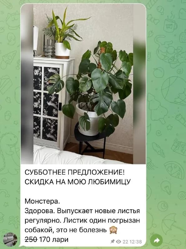 170 лари — Тбилиси — 170 ₾