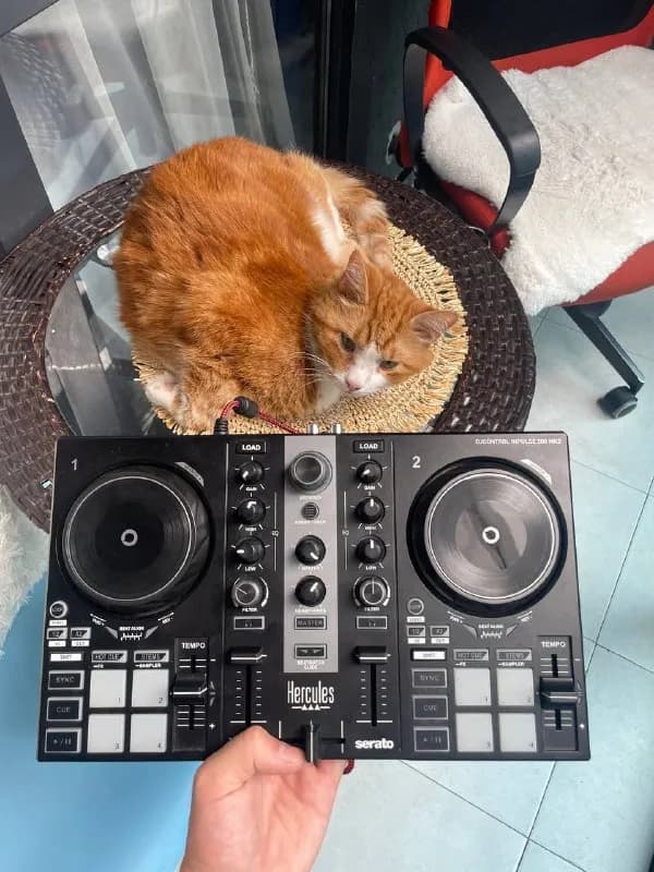 Hercules DJControl Inpulse 200 MK2 — Батуми — 250 ₾