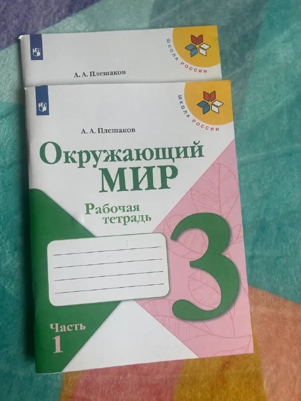 5 лари — Батуми — 5 ₾