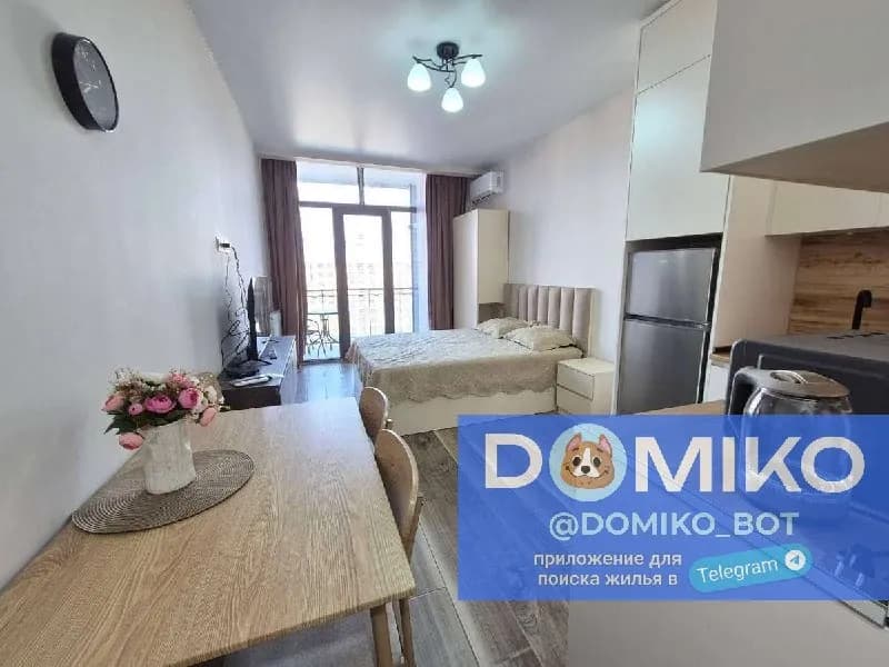 25 этаж , 30 кв/м — Батуми — 350 $