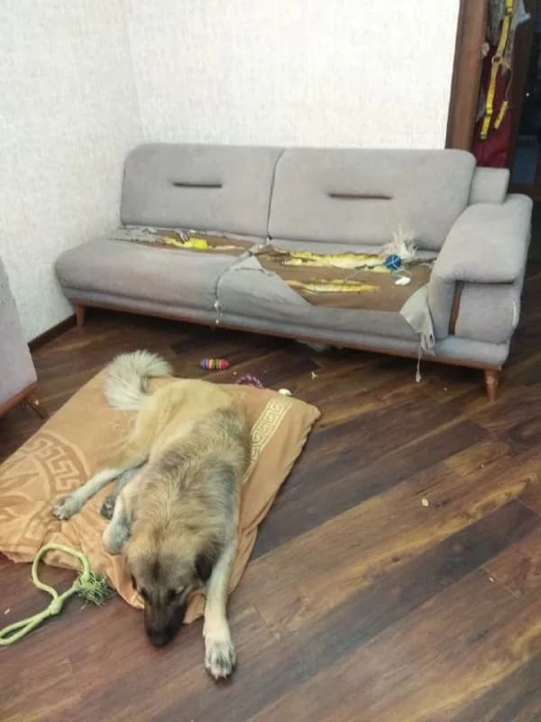 Без названия — Тбилиси
