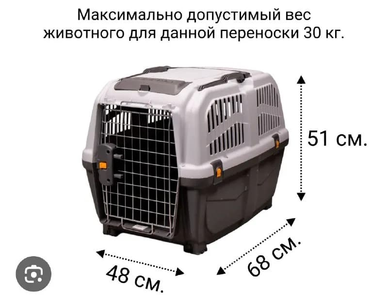 50 см — Тбилиси