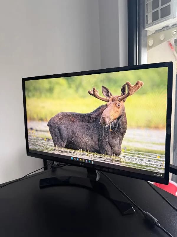 LG 24» IPS Monitor (24MP58VQ-P) — Тбилиси — 240 ₾