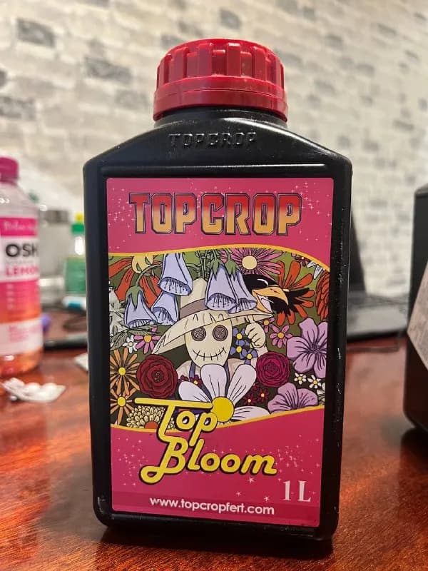 Top Crop! 🔥 — Тбилиси — 150 ₾