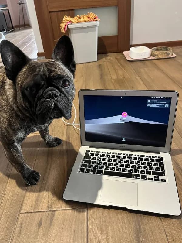 MacBook Air (2010) — дедушка среди ультрабуков, но бодр и весел! — Тбилиси — 250 ₾