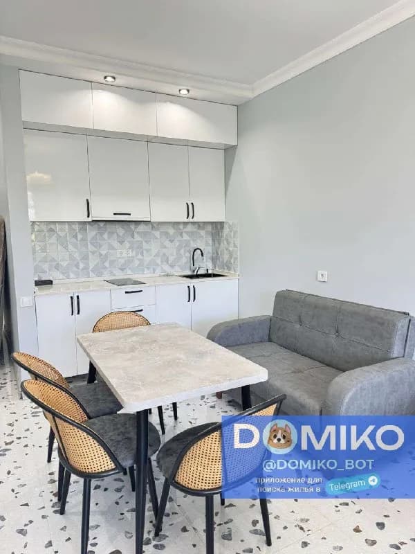 3/9 этаж , 46 кв/м — Батуми — 500 $
