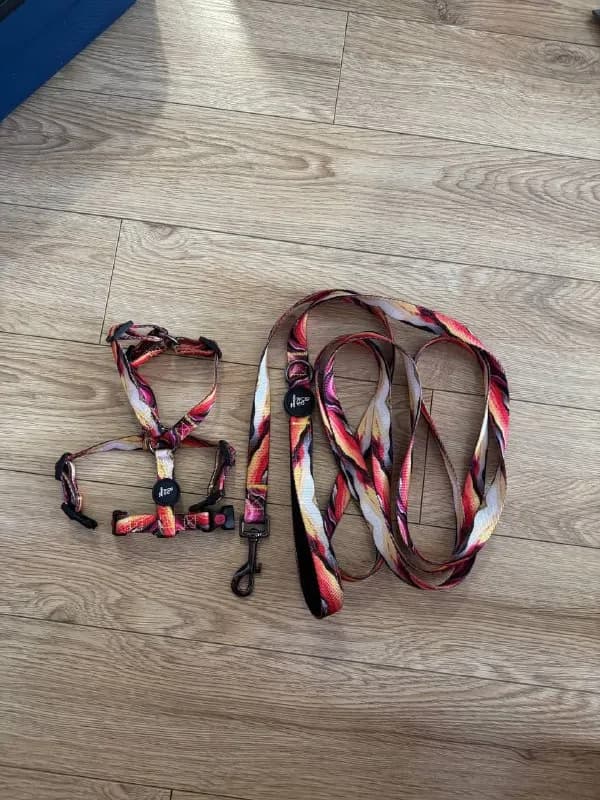 2 поводка 3 метра — Тбилиси — 30 ₾