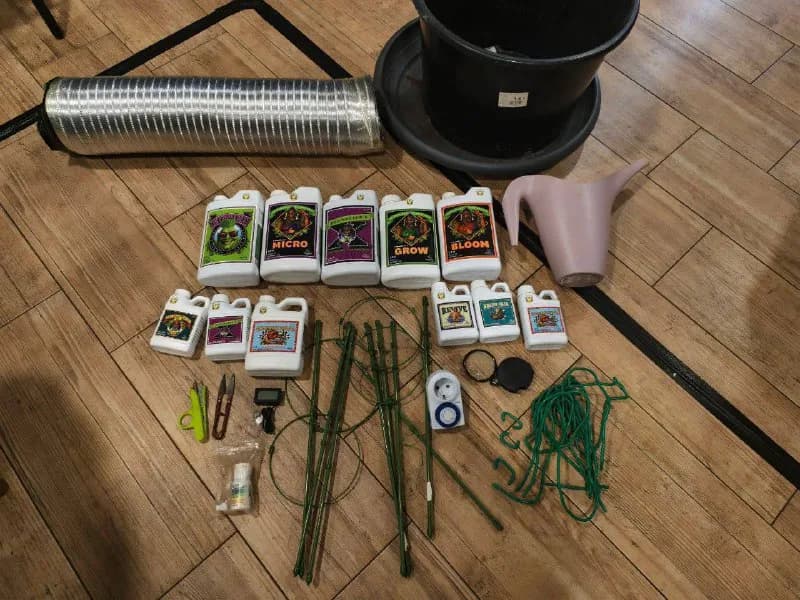 grow grow / моя цена — Тбилиси — 19 ₾