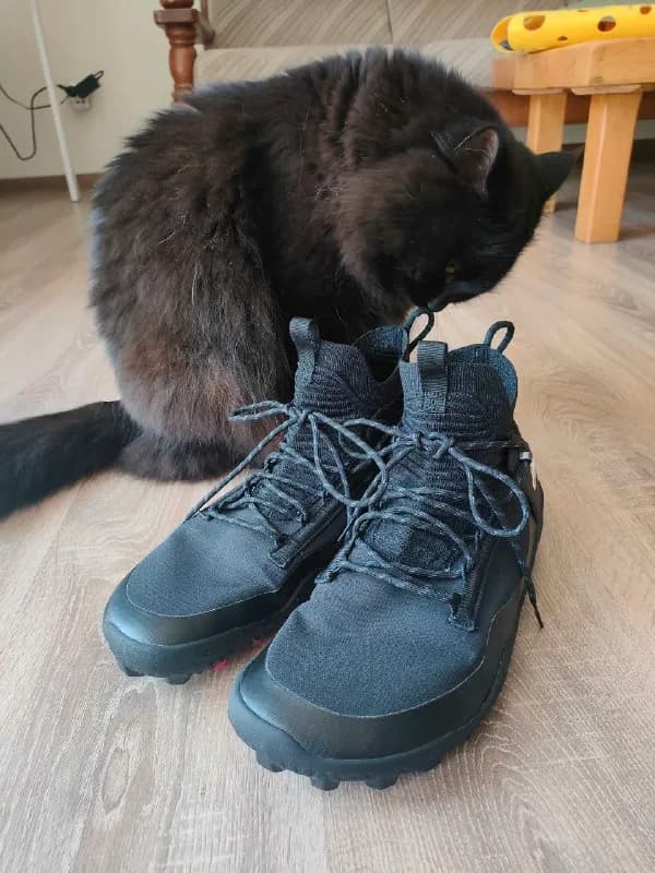 Vivobarefoot 10 размер/ 43 европейский — Тбилиси — 170 $
