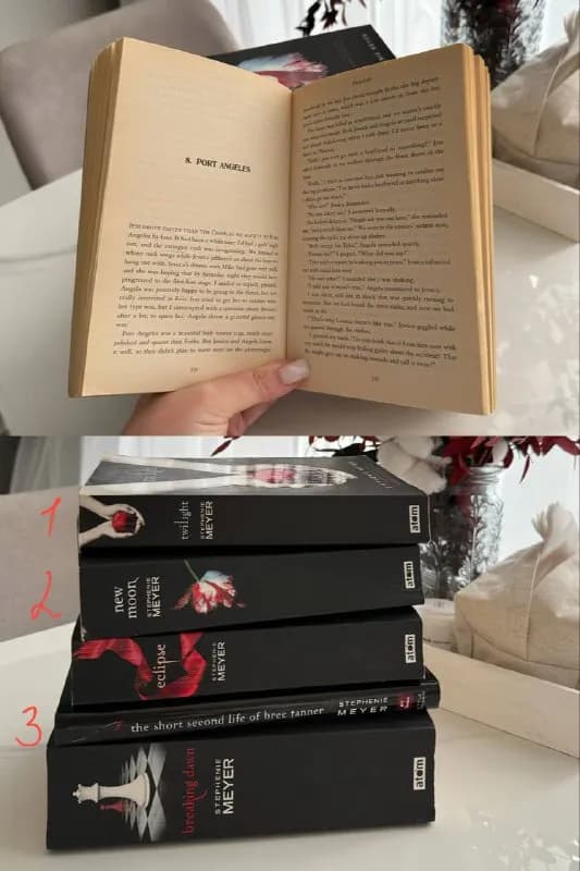 Twilight Series — Тбилиси — 35 ₾