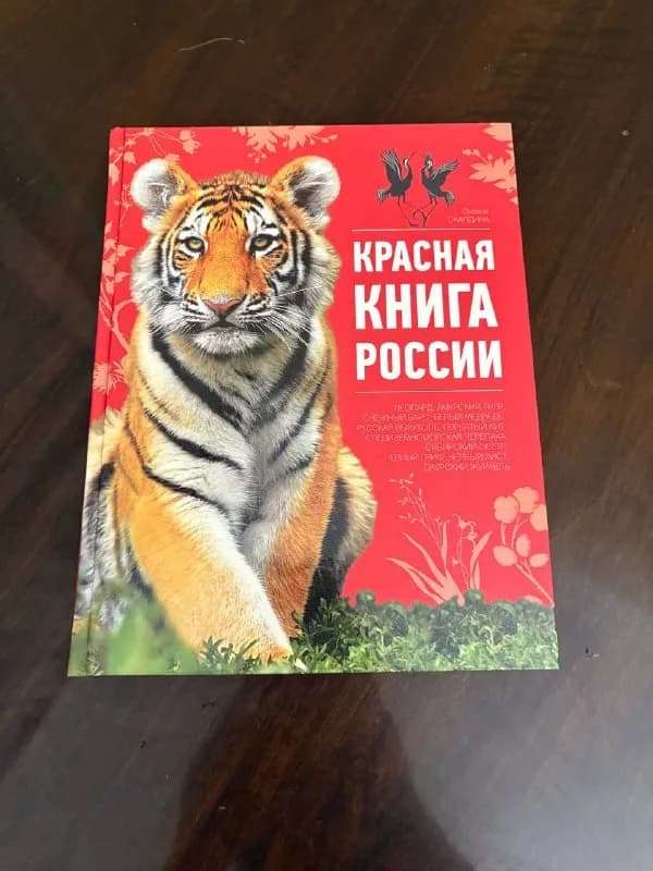 20 лари — Тбилиси — 20 ₾