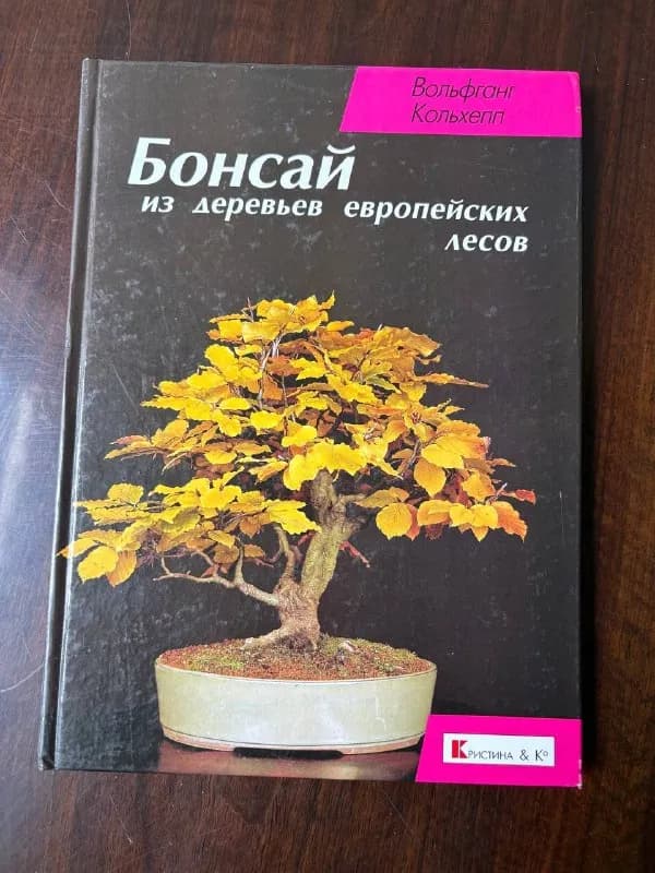 5 лари — Тбилиси — 5 ₾