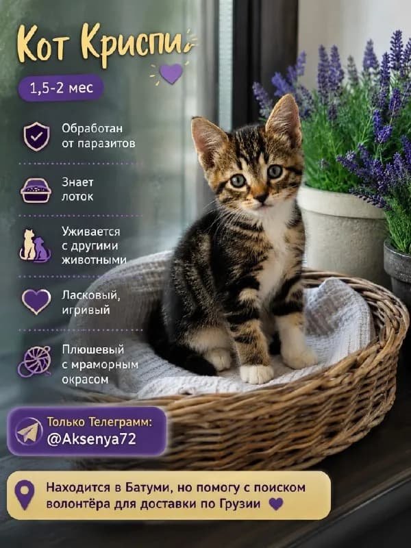 Без названия — Батуми