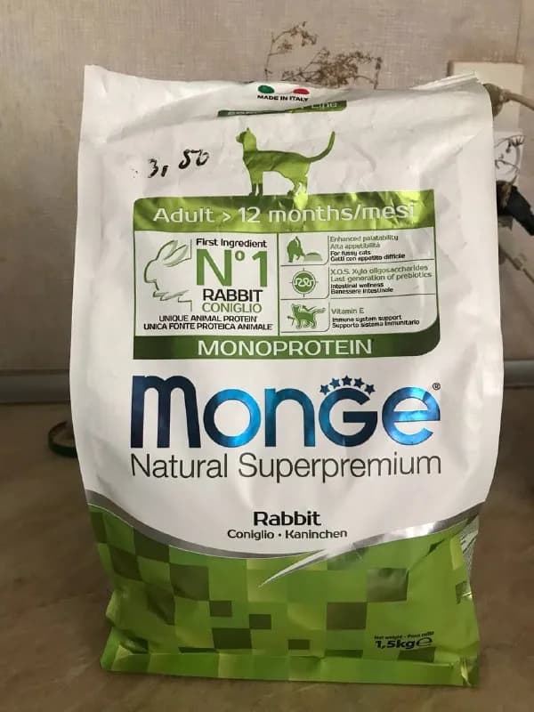 monge кролик — Тбилиси