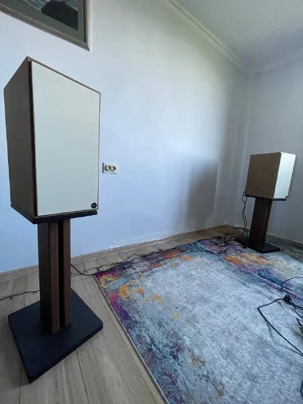 Klipsch The Nines — Тбилиси — 1,500 $