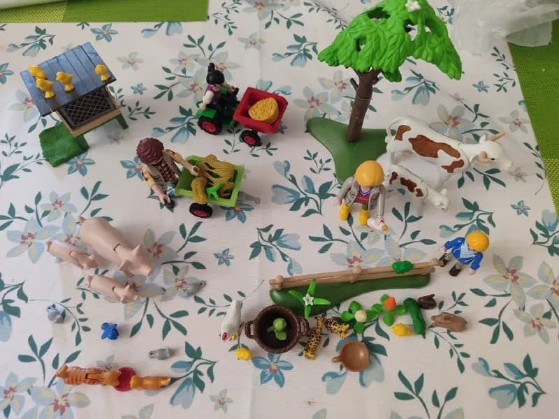 Playmobil Country — 35 лар. — Батуми — 35 ₾