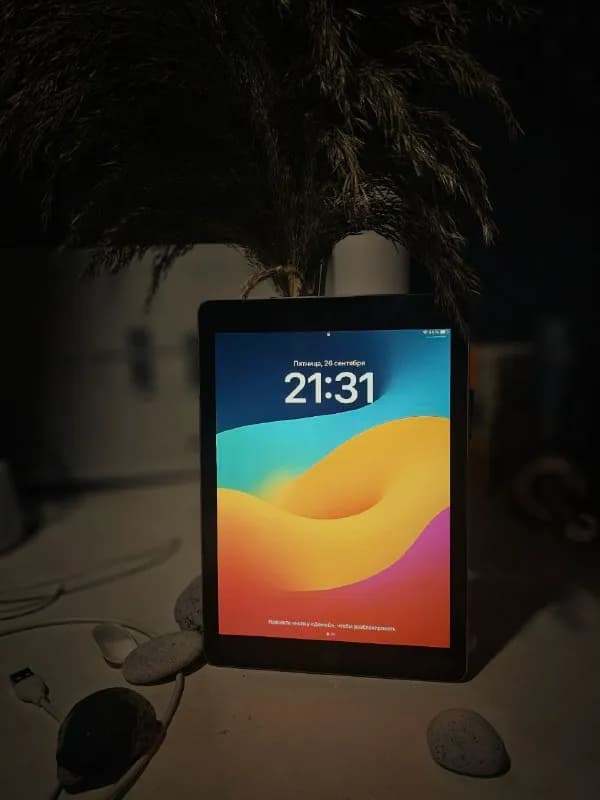 iPad 9,7 (6-gen) — 390 л — Тбилиси