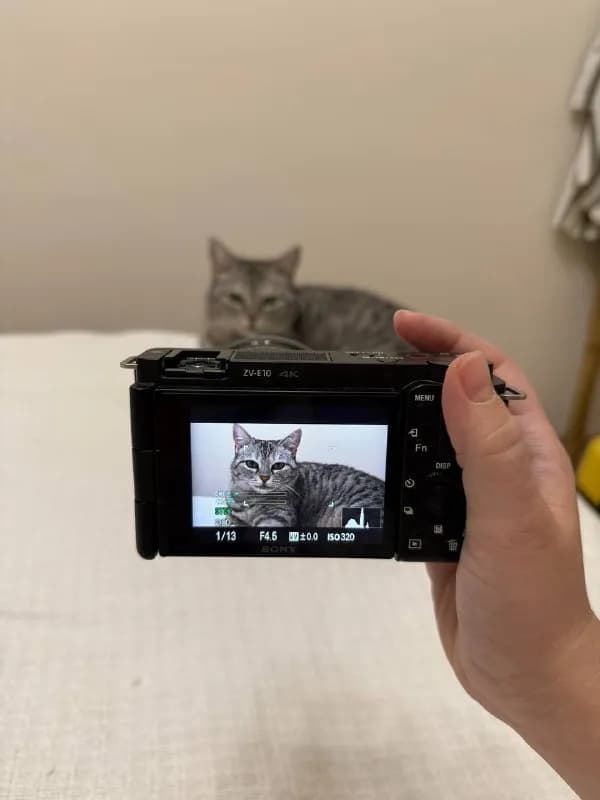 sony zv e10 — Тбилиси — 2300 ₾
