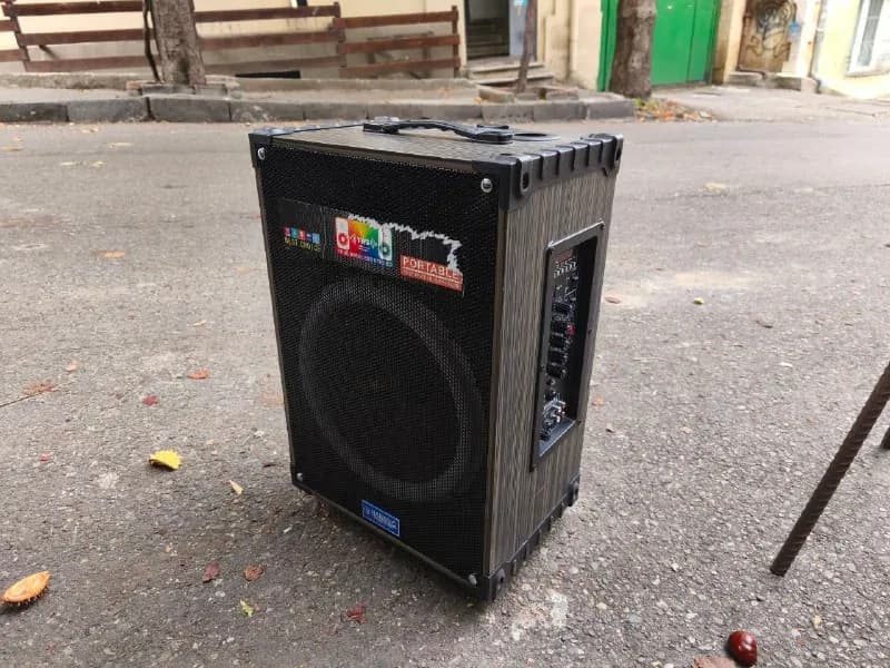 2 микрофона, кабель rca — Тбилиси — 130 ₾