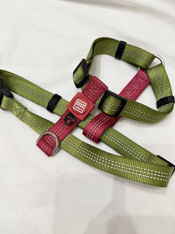 13 см — Тбилиси — 50 ₾