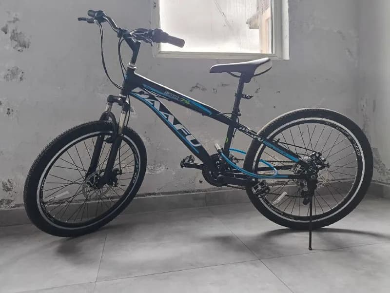 24» радиус колес — Батуми — 250 ₾