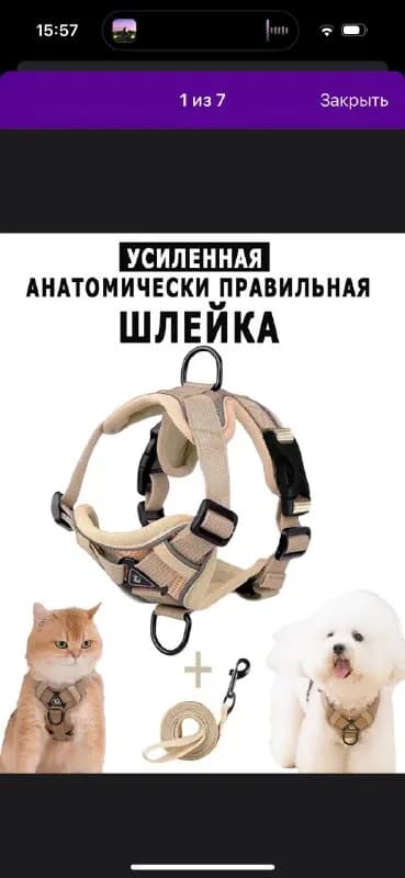 S, обхват груди 24-34см, поводок 250 см. Цена 20 лари — Тбилиси — 20 ₾