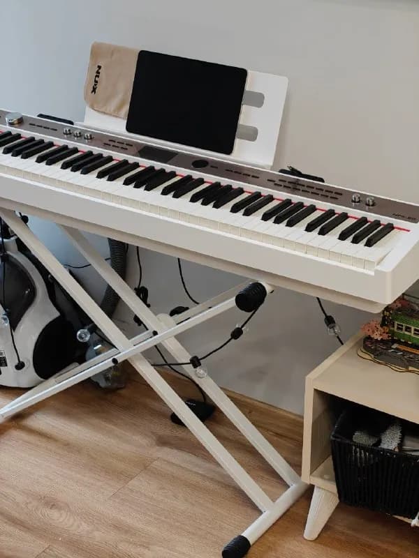 NUX Digital Piano NPK-20, состояние нового, был порыв научится играть, которые длился не более одно — Батуми