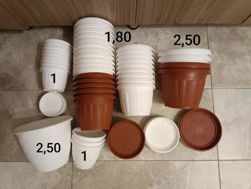 1 февраля) — Тбилиси — 45 ₾