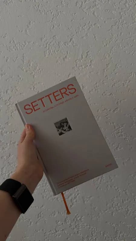 setters — Тбилиси — 10 ₾