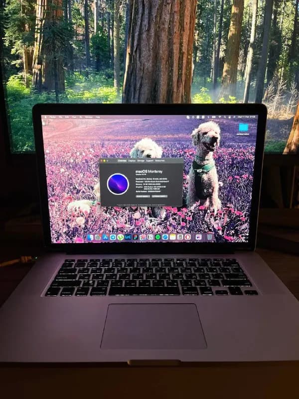 MacBook Pro 15» Mid 2015 (почти max комплектации) — Тбилиси — 360 ₾