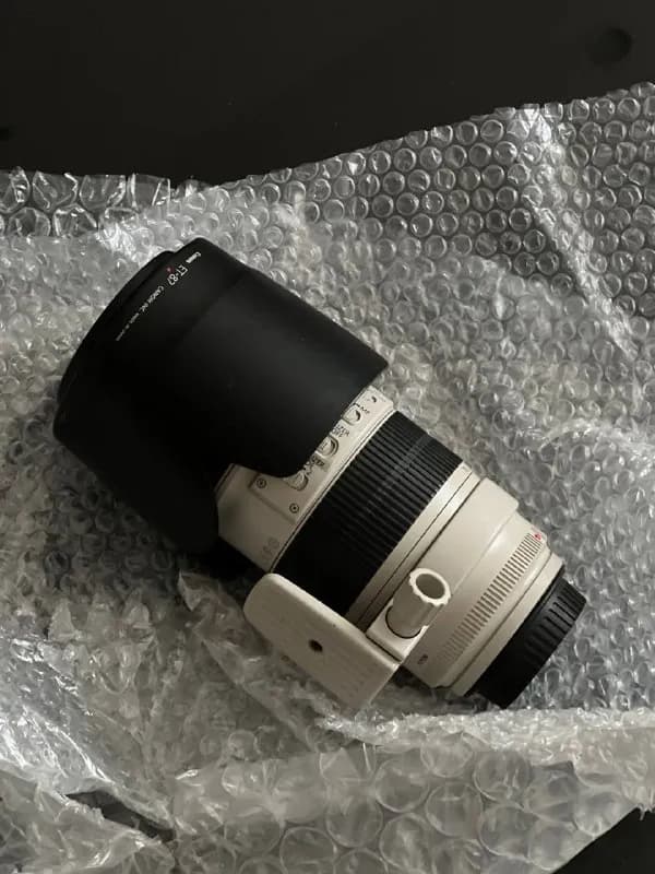 Canon EF 70-200mm f/2.8L IS II — Батуми — 2 900 ₾